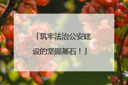 筑牢法治公安建设的坚固基石！