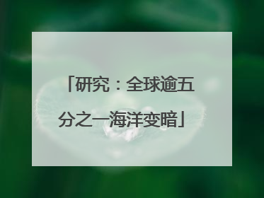 研究：全球逾五分之一海洋变暗