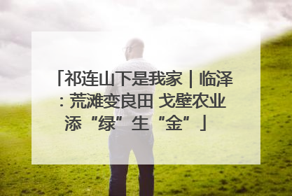 祁连山下是我家｜临泽：荒滩变良田 戈壁农业添“绿”生“金”