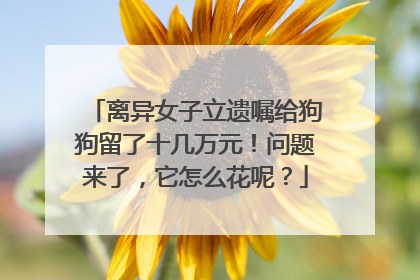 离异女子立遗嘱给狗狗留了十几万元！问题来了，它怎么花呢？