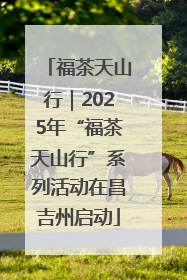 福茶天山行｜2025年“福茶天山行”系列活动在昌吉州启动