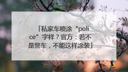 私家车喷涂“police”字样？官方：若不是警车，不能这样涂装