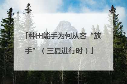 种田能手为何从容“放手”（三夏进行时）