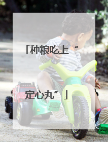 种粮吃上“定心丸”