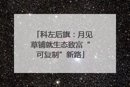 科左后旗：月见草铺就生态致富“可复制”新路