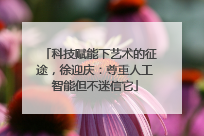 科技赋能下艺术的征途，徐迎庆：尊重人工智能但不迷信它