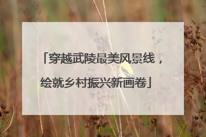 穿越武陵最美风景线，绘就乡村振兴新画卷