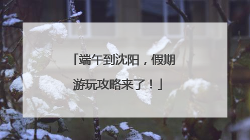端午到沈阳，假期游玩攻略来了！