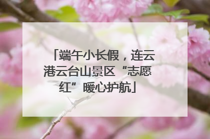端午小长假，连云港云台山景区“志愿红”暖心护航