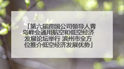 第六届跨国公司领导人青岛峰会通用航空和低空经济发展论坛举行 滨州市全方位推介低空经济发展优势