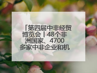 第四届中非经贸博览会丨48个非洲国家、4700多家中非企业和机构将参会