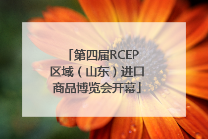 第四届RCEP区域（山东）进口商品博览会开幕