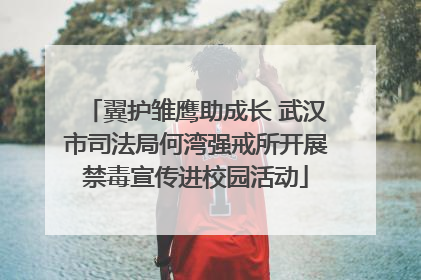 翼护雏鹰助成长 武汉市司法局何湾强戒所开展禁毒宣传进校园活动