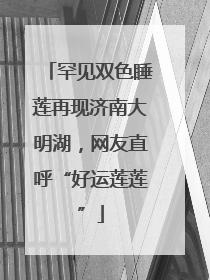 罕见双色睡莲再现济南大明湖，网友直呼“好运莲莲”