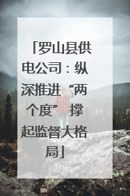 罗山县供电公司：纵深推进“两个度” 撑起监督大格局