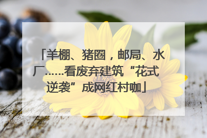 羊棚、猪圈，邮局、水厂……看废弃建筑“花式逆袭”成网红村咖