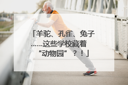 羊驼、孔雀、兔子……这些学校藏着 “动物园”？！