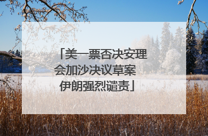美一票否决安理会加沙决议草案 伊朗强烈谴责