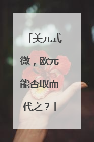 美元式微，欧元能否取而代之？