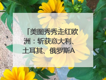 美图秀秀走红欧洲：斩获意大利、土耳其、俄罗斯App Store分类榜第一