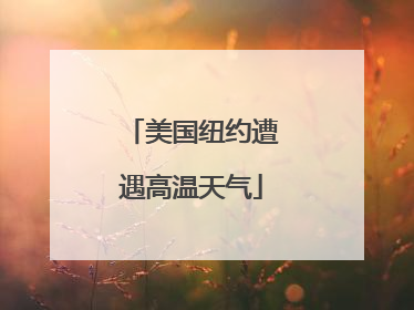 美国纽约遭遇高温天气
