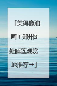美得像油画！郑州3处睡莲观赏地推荐→