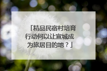 精品民宿村培育行动何以让宣城成为旅居目的地？