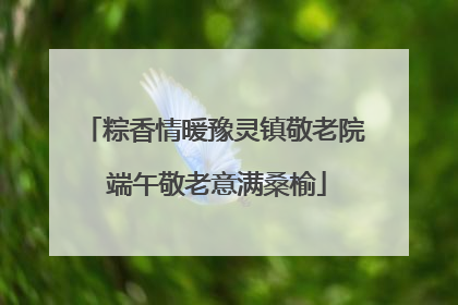 粽香情暖豫灵镇敬老院 端午敬老意满桑榆