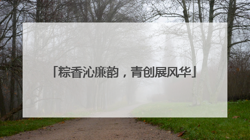 粽香沁廉韵，青创展风华