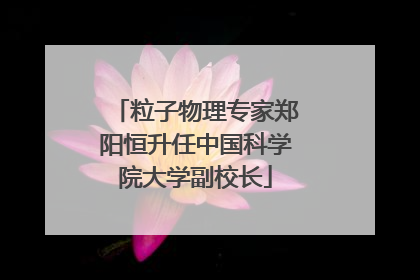 粒子物理专家郑阳恒升任中国科学院大学副校长