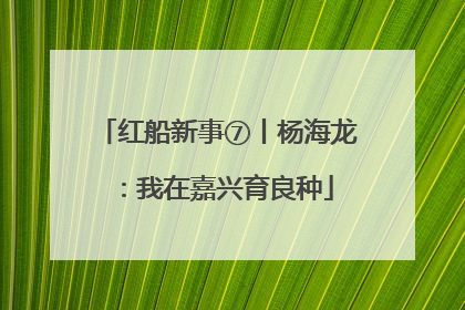 红船新事⑦丨杨海龙：我在嘉兴育良种