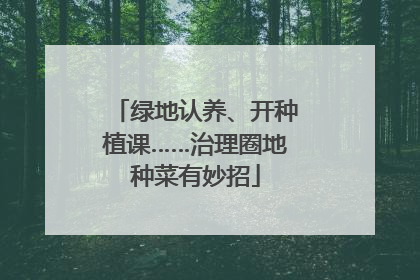 绿地认养、开种植课……治理圈地种菜有妙招