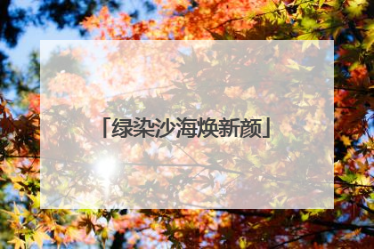绿染沙海焕新颜