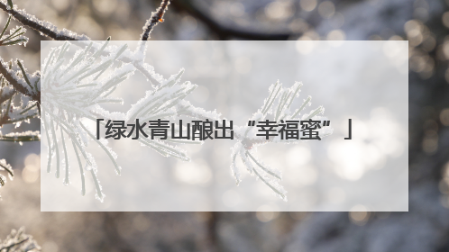 绿水青山酿出“幸福蜜”