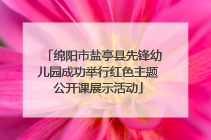 绵阳市盐亭县先锋幼儿园成功举行红色主题公开课展示活动