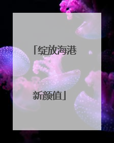 绽放海港新颜值