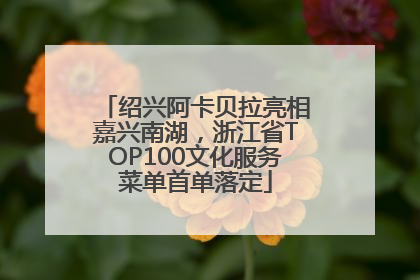 绍兴阿卡贝拉亮相嘉兴南湖，浙江省TOP100文化服务菜单首单落定