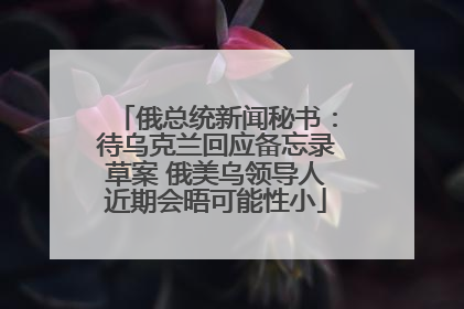 俄总统新闻秘书：待乌克兰回应备忘录草案 俄美乌领导人近期会晤可能性小