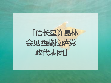 信长星许昆林会见西藏拉萨党政代表团