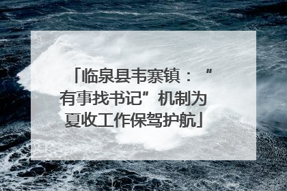临泉县韦寨镇：“有事找书记”机制为夏收工作保驾护航