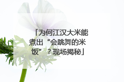 为何江汉大米能煮出“会跳舞的米饭”？现场揭秘