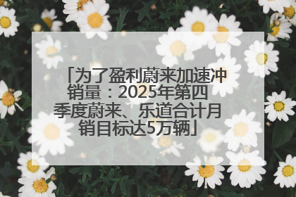 为了盈利蔚来加速冲销量：2025年第四季度蔚来、乐道合计月销目标达5万辆