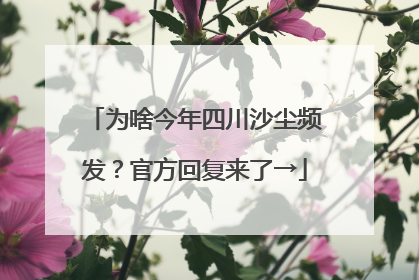 为啥今年四川沙尘频发？官方回复来了→