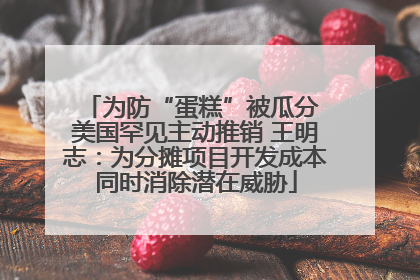 为防“蛋糕”被瓜分 美国罕见主动推销 王明志：为分摊项目开发成本同时消除潜在威胁