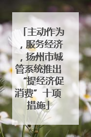 主动作为，服务经济，扬州市城管系统推出“提经济促消费”十项措施