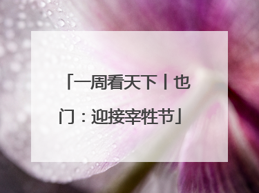 一周看天下丨也门：迎接宰牲节