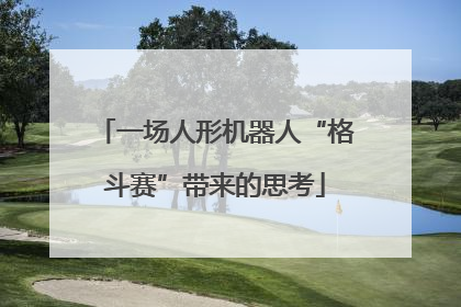 一场人形机器人“格斗赛”带来的思考