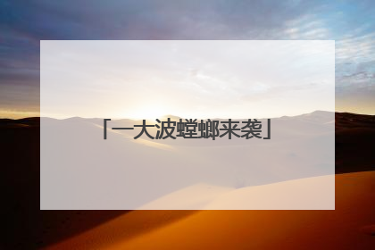 一大波螳螂来袭