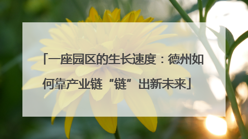 一座园区的生长速度：德州如何靠产业链“链”出新未来