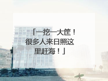一挖一大筐！很多人来日照这里赶海！